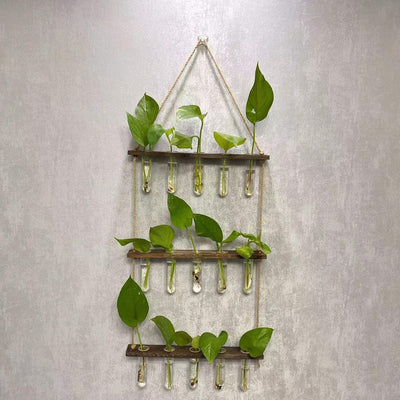 Creative Hydroponics Wall Hanging Vase