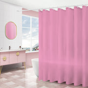 Shower Door Curtain