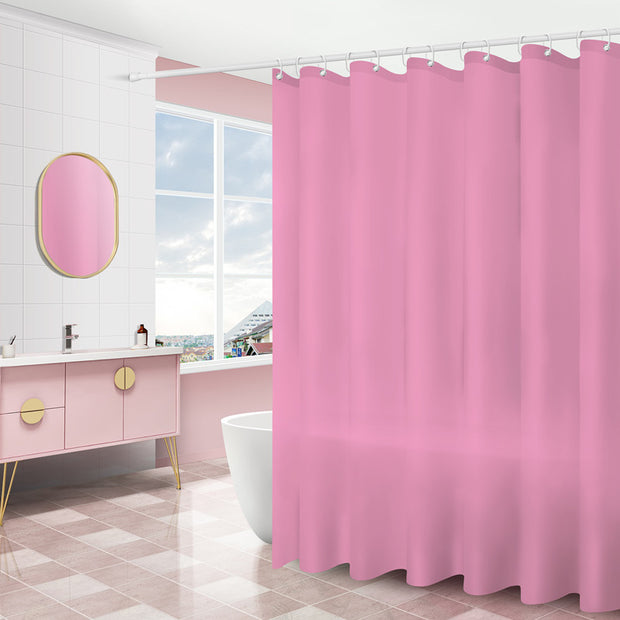 Shower Door Curtain