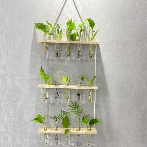 Creative Hydroponics Wall Hanging Vase