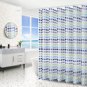 Shower Door Curtain